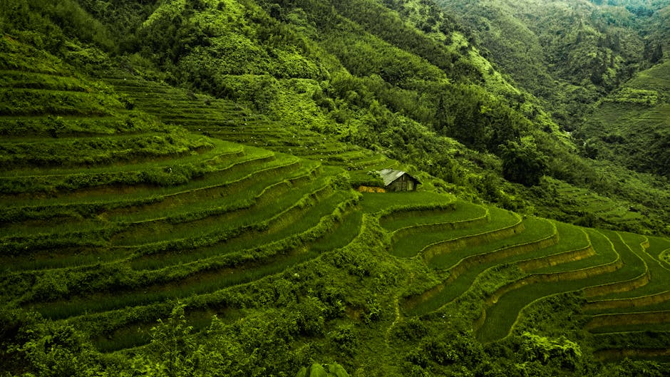 베트남 여행을 위한 한국 비자 신청 절차 알아보기
